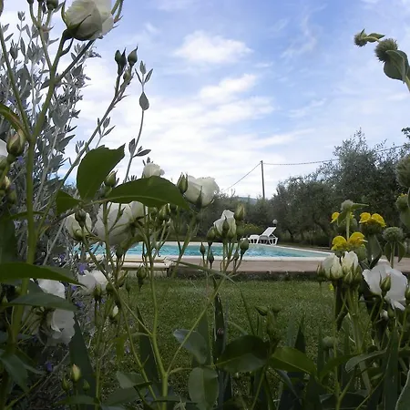 Apartamento La Ginestra Todi