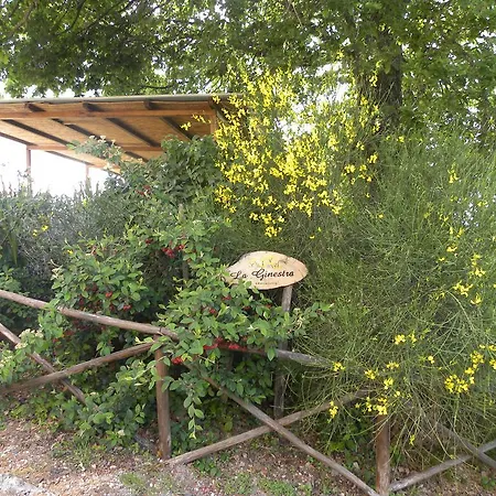 公寓 La Ginestra