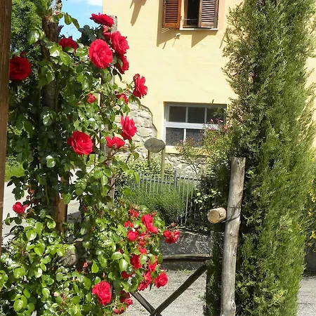 Apartamento La Ginestra *