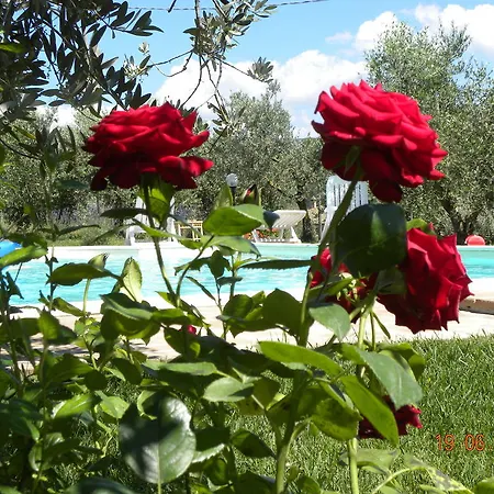 Apartamento La Ginestra *