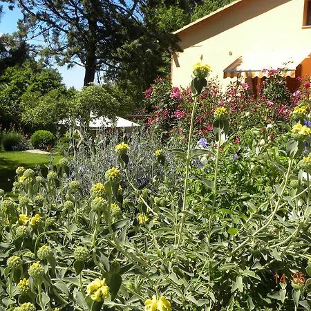 La Ginestra