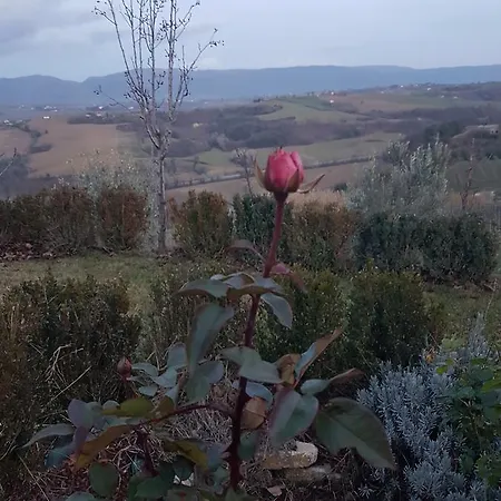 La Ginestra Todi